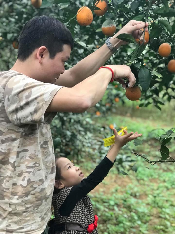 Khám phá vườn cam Cao Phong Hòa Bình