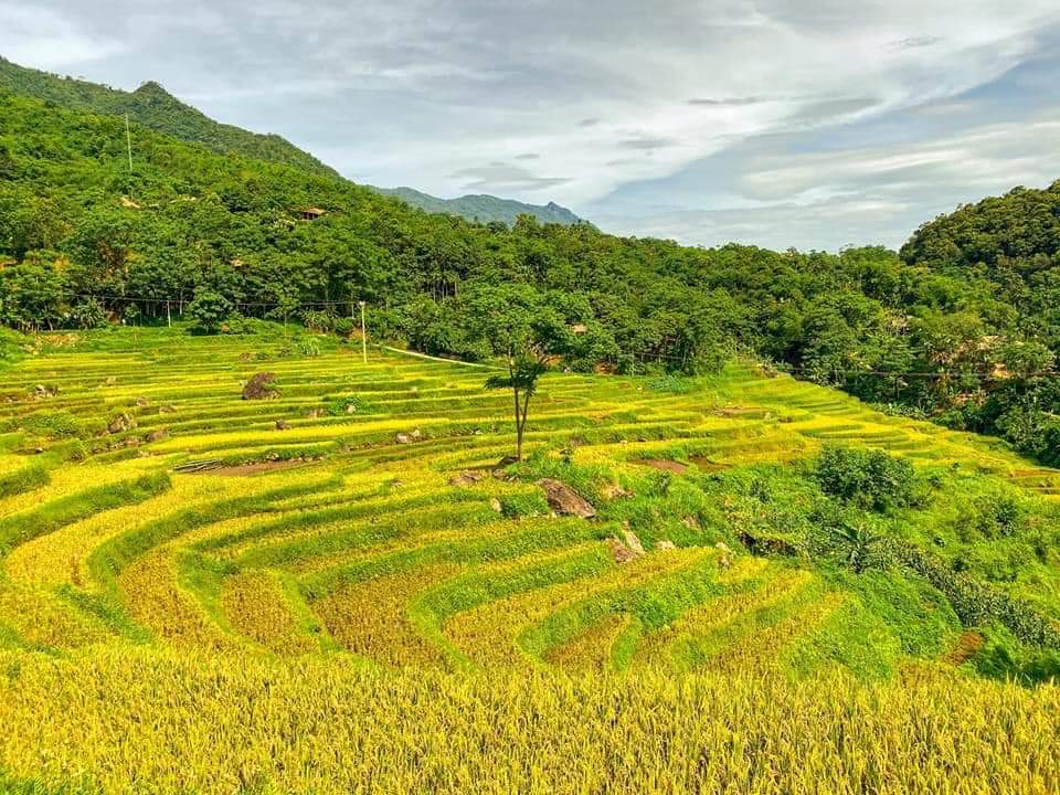 Du lịch Mai Châu – Pù Luông – Mùa lúa chín 2 ngày