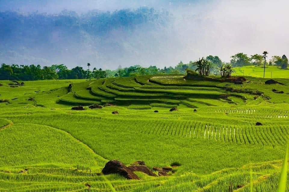 Du lịch Mai Châu – Pù Luông – Mùa lúa chín 2 ngày
