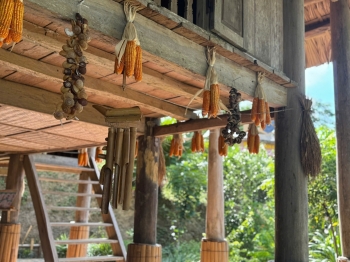 Du lịch bản Ngòi xanh mướt, mát dịu