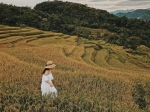 Du lịch Mai Châu – Pù Luông – Mùa lúa chín 2 ngày