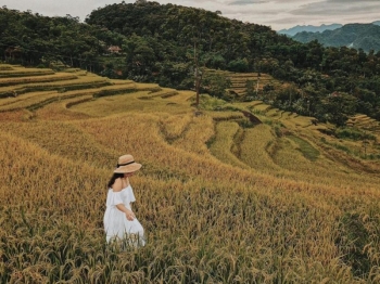 Du lịch Mai Châu – Pù Luông – Mùa lúa chín 2 ngày