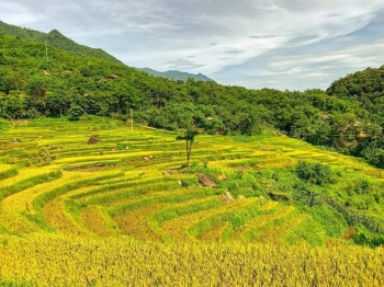 Du lịch Mai Châu – Pù Luông – Mùa lúa chín 2 ngày