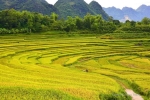 Du lịch Mai Châu – Pù Luông – Mùa lúa chín 2 ngày