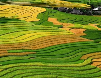 Du lịch Mai Châu – Pù Luông – Mùa lúa chín 2 ngày