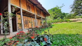Trải nghiệm homestay bản Ngòi – xanh lá, mát dịu