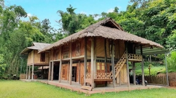 Trải nghiệm homestay bản Ngòi – xanh lá, mát dịu