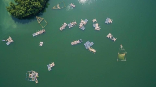 Du lịch Thung Nai Hòa Bình 2 ngày 1 đêm