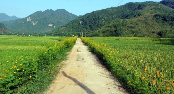 Du lịch Mai Hịch – Khám phá mảnh đất “cọp trêu người”