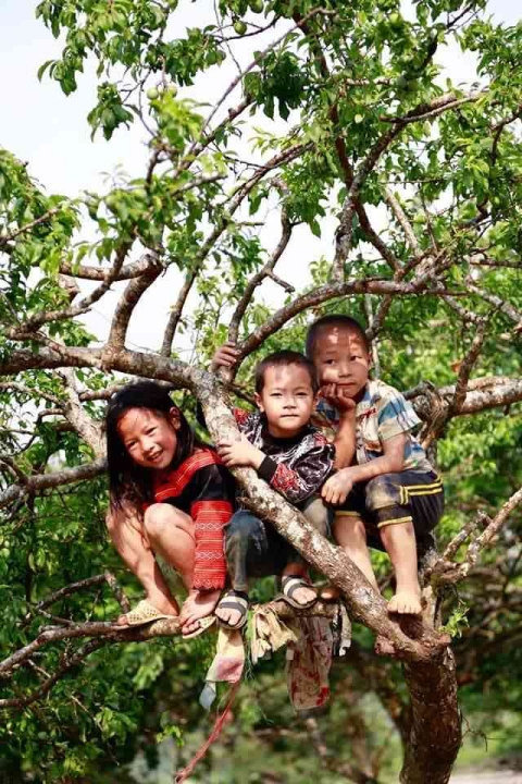 Khám phá bản Ngòi – Mai Châu – Pà Cò 3 ngày